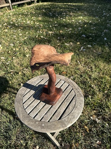 Redwood burl mushroom - burl,