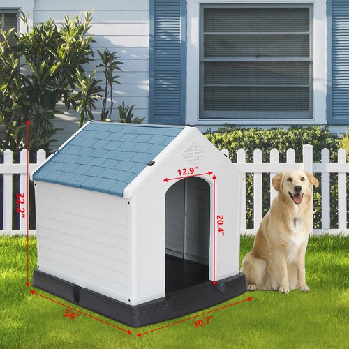Dog house big - dog,
