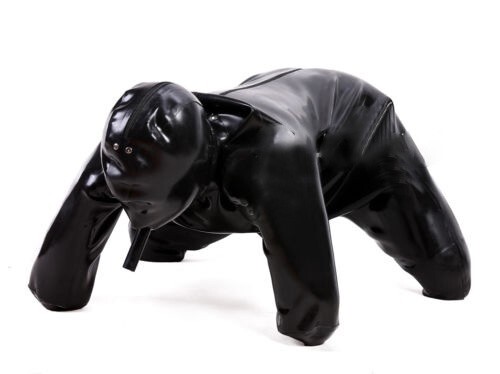 Latex full cover dog - dog, catsuit
