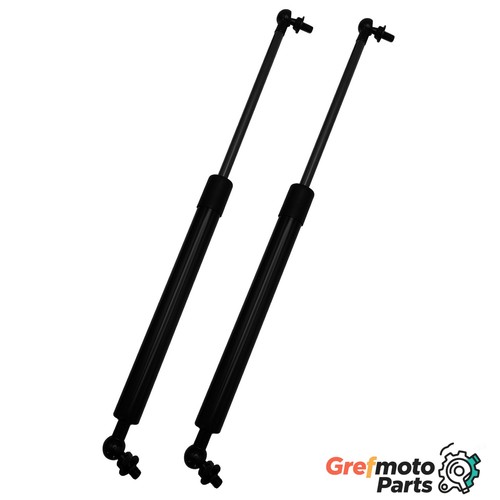 Set rear trunk lift - set, 2