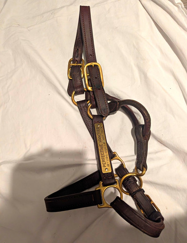 Used brown leather - leather, horse