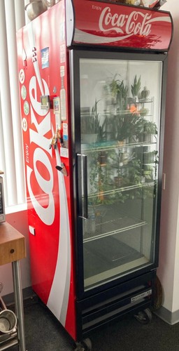 Collectable coca cola - collectable, coca-cola
