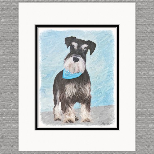 Schnauzer miniature standard - schnauzer,