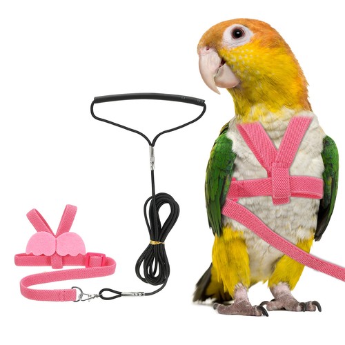 Bird harness leash pet parrot - bird,