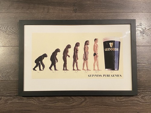 Guinness stout beer pure - stout, “pure