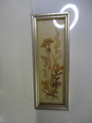 Vintage framed floral - floral, dried
