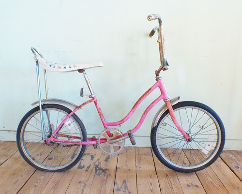 Vintage schwinn fair lady - schwinn,