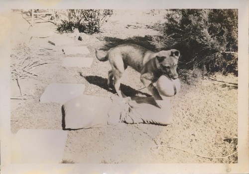 Snapshot vintage photo - snapshot, cute