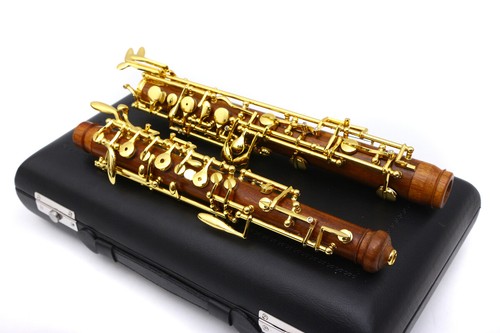 Professional oboe nice sound - professional,