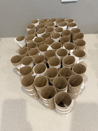 Empty toilet paper rolls - paper,