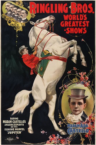 Circus clown carnivals - clown,