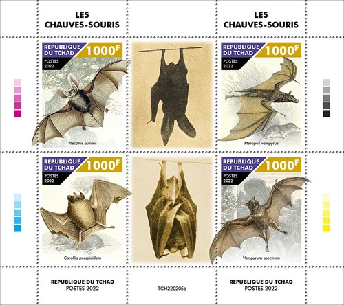 Bats