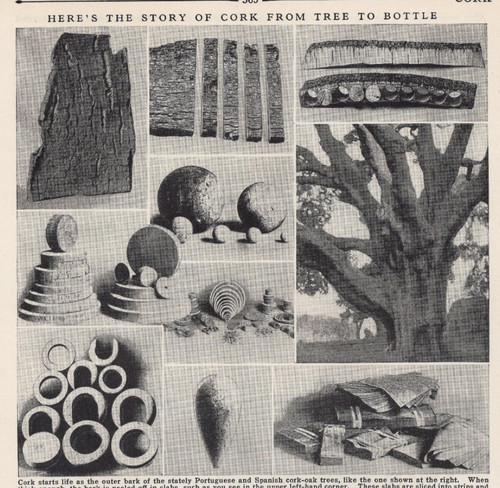 Story cork from tree - from,