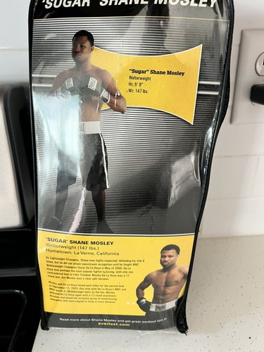 Everlast pro style - 16, oz