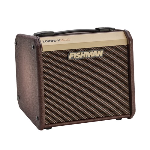 Fishman loudbox micro - loudbox, acoustic