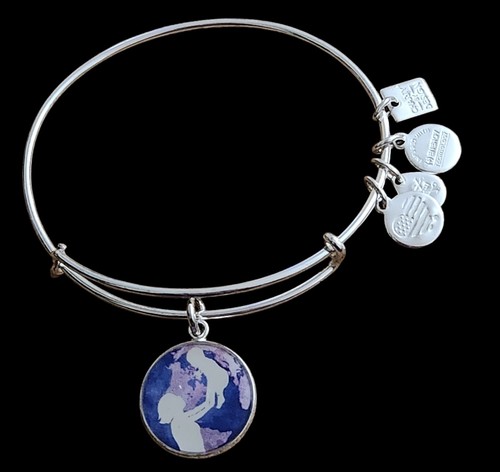 Nwot alex and ani - nwot,
