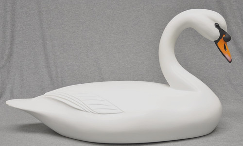 Mute swan duck - mute, original