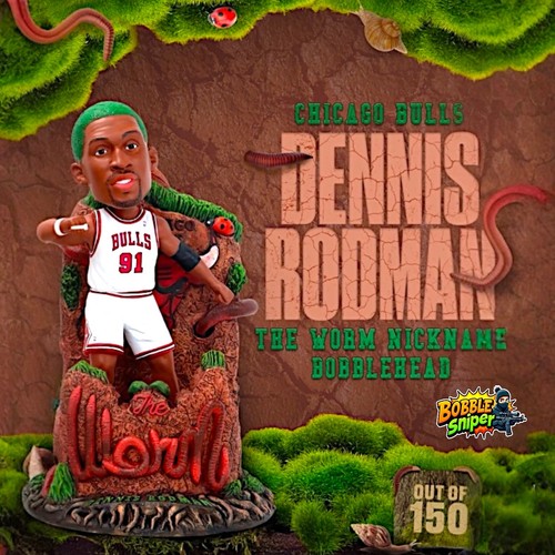 Dennis rodman chicago bulls - rodman,