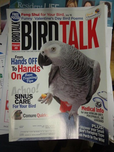 Bird talk magazine feb - feb, 11