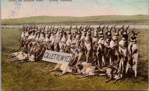 Vintage gillette wyoming - vintage,