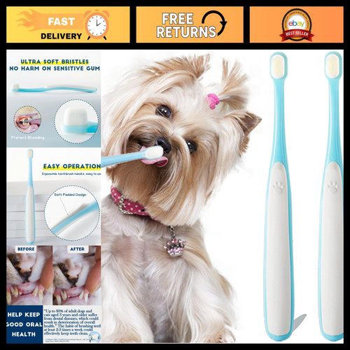 Mini dog cat - cat, toothbrush