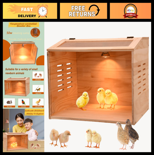 Chick brooder box - brooder, heater