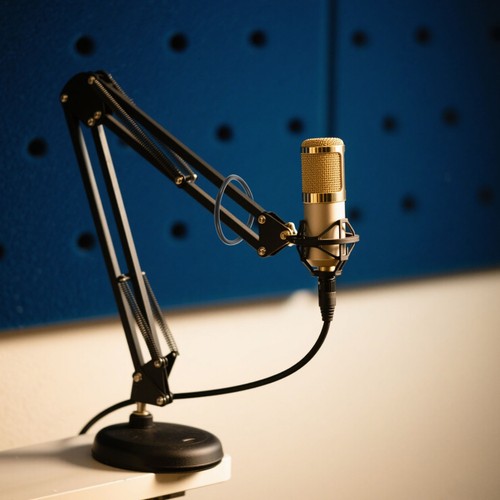 Pcs mic suspension - pcs,