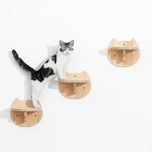 Cat shelf set climbing - cat,