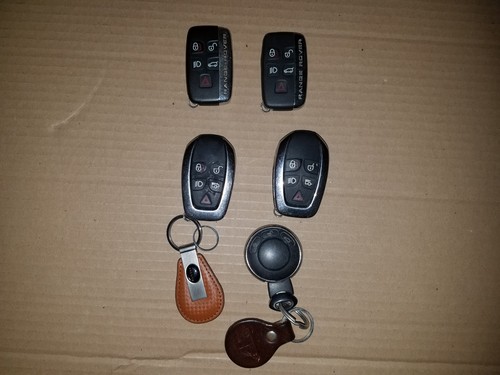 Lot jaguar land - lot,