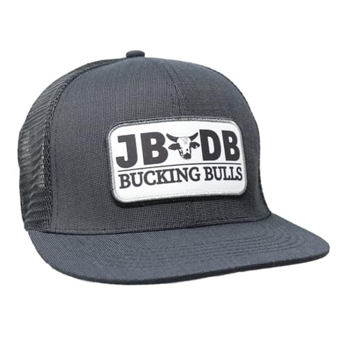 Rodeo time dale brisby - rodeo,