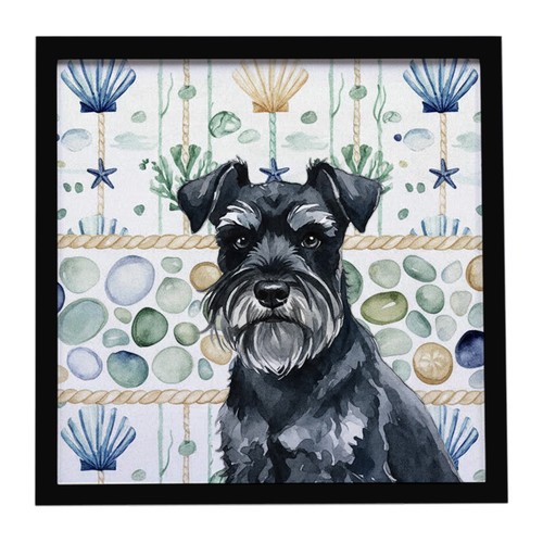 Black miniature schnauzer - miniature,
