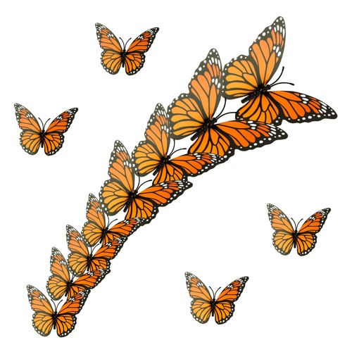 Pcs monarch butterfly - pcs,