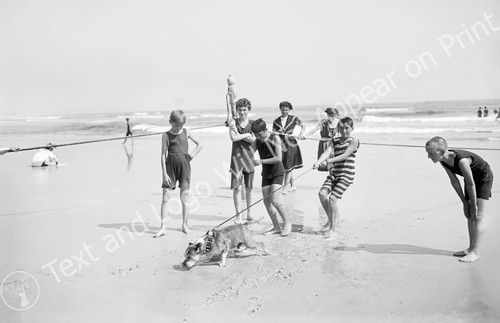1910 bulldog the - bulldog, beach