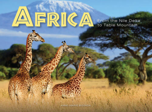 Africa from the nile delta - africa:,