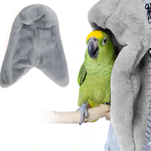 Bird buddy corner - bird,