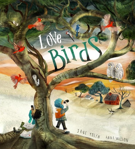 Love birds picture book - birds:,