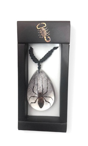 Spider insect necklace - necklace, black