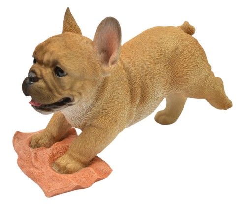 Realistic french bulldog - realistic,