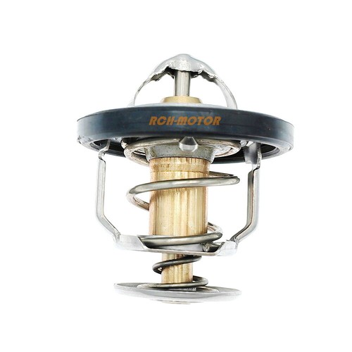 New thermostat ring - &, o-ring