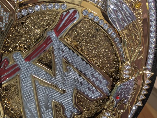 Wwe championship john - wwe,
