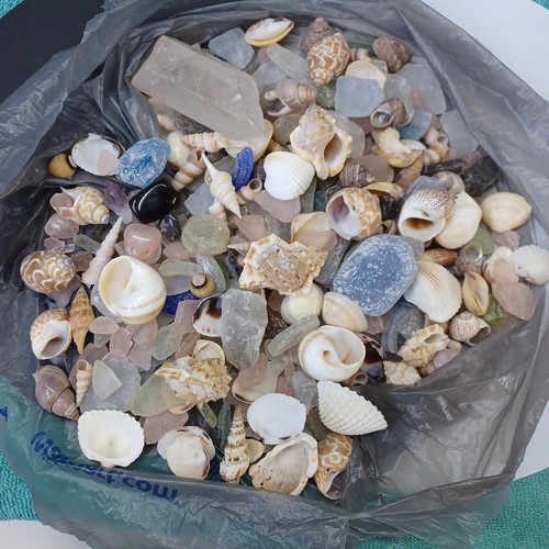 Huge lot seashells rocks - huge, of