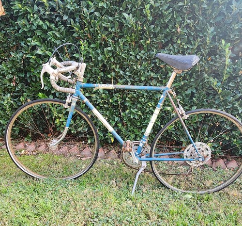 Speed bike vintage - bike,