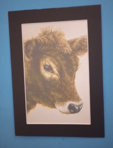 Matted x 6 - 5", 4"