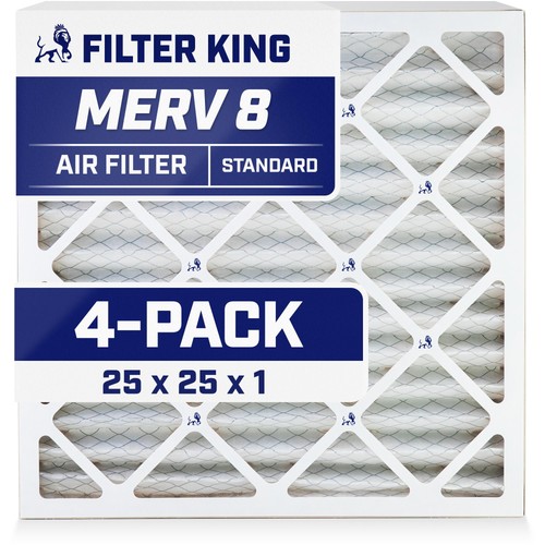 Filter king 25x25x1 - filter,