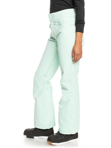 Roxy diversion snow pants - roxy,