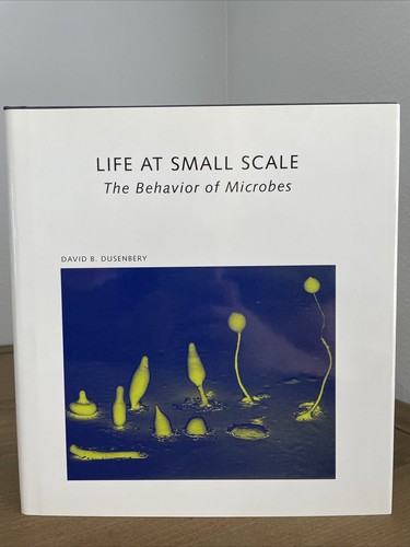 Life small scale - small, david