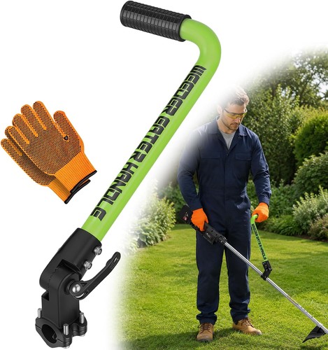 The darwin grip - darwin’s,