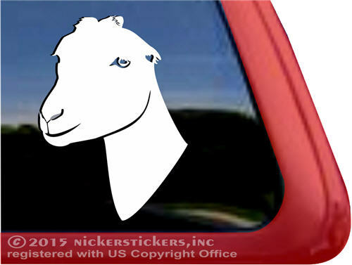 Mancha goat window - la,