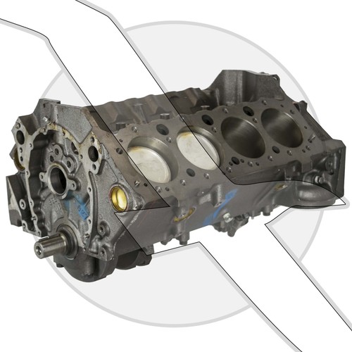 305ci short block - 5.0l, gm