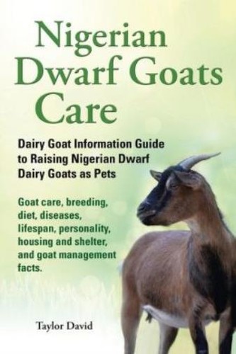 Nigerian dwarf goats - dwarf, care